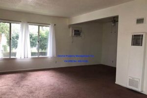 Find Affordable Studios for Rent in Fullerton Today! | Study Travel Abroad | Explore Educational Trips & Global Learning Opportunities