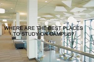 Best Good Study Spots Near Me: Find Your Focus! | Study Travel Abroad | Explore Educational Trips & Global Learning Opportunities
