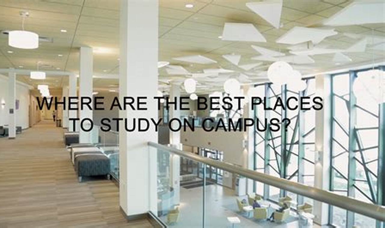 Best Good Study Spots Near Me: Find Your Focus! | Study Travel Abroad | Explore Educational Trips & Global Learning Opportunities