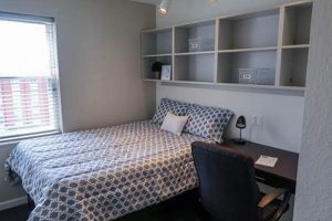 Find UIUC Studio Apartments: Guide &amp; Deals | Study Travel Abroad | Explore Educational Trips & Global Learning Opportunities
