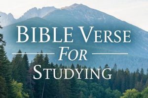 Unlock Study Success: Verse About Studying Wisdom Study Travel Abroad | Explore Educational Trips & Global Learning Opportunities Unlock Study Success: Verse About Studying Wisdom | Study Travel Abroad | Explore Educational Trips & Global Learning Opportunities