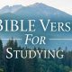Unlock Study Success: Verse About Studying Wisdom | Study Travel Abroad | Explore Educational Trips & Global Learning Opportunities