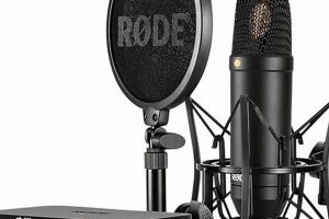 Build a Study Interface Studio Set: Setup & Tips | Study Travel Abroad | Explore Educational Trips & Global Learning Opportunities