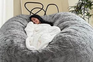 Best Bean Bag Chair for Study: Cozy & Productive! | Study Travel Abroad | Explore Educational Trips & Global Learning Opportunities