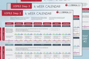 Ace Your Exam: Step 3 Study Schedule + Tips & Tricks | Study Travel Abroad | Explore Educational Trips & Global Learning Opportunities