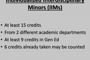 Study Paths: Individualized vs. Interdisciplinary Studies Compared Study Travel Abroad | Explore Educational Trips & Global Learning Opportunities Study Paths: Individualized vs. Interdisciplinary Studies Compared | Study Travel Abroad | Explore Educational Trips & Global Learning Opportunities