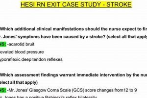 Mastering Stroke: HESI Case Study Success Guide | Study Travel Abroad | Explore Educational Trips & Global Learning Opportunities