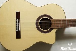 Cordoba GK Studio: Flamenco Guitar for Study & Stage | Study Travel Abroad | Explore Educational Trips & Global Learning Opportunities