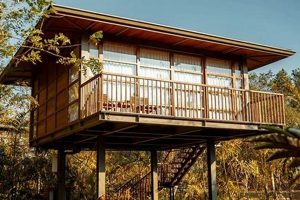 Elevated Treehouse Studio: Your Creative Escape | Study Travel Abroad | Explore Educational Trips & Global Learning Opportunities
