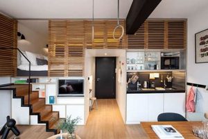 Best Beds for Studio Apt Living | Space Savers | Study Travel Abroad | Explore Educational Trips & Global Learning Opportunities