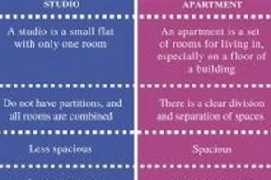 Studio vs. Apartment: Key Differences Explained | Study Travel Abroad | Explore Educational Trips & Global Learning Opportunities
