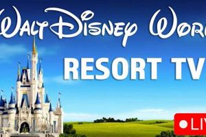 Watch Live: Universal Studios Orlando Web Cam View | Study Travel Abroad | Explore Educational Trips & Global Learning Opportunities