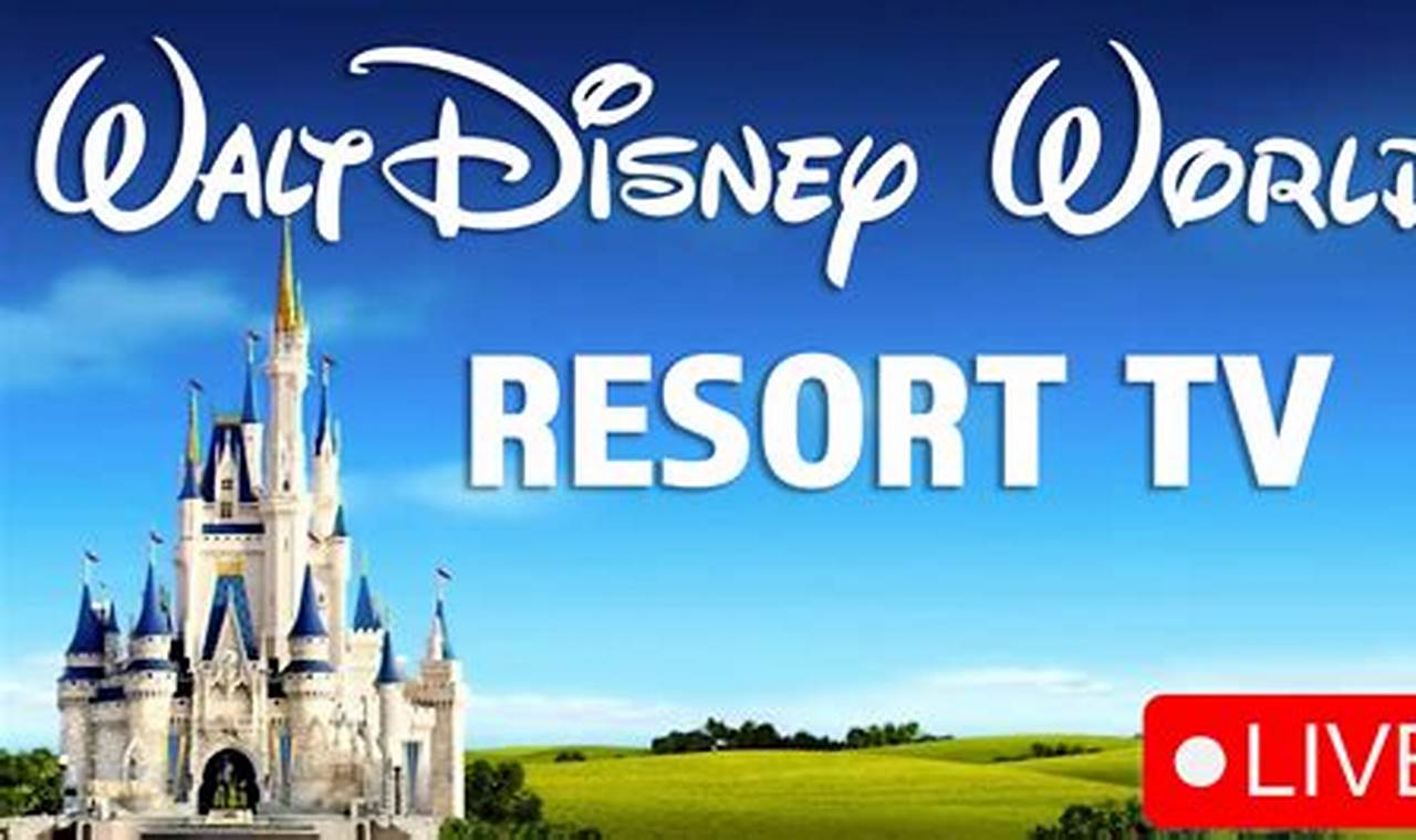 Watch Live: Universal Studios Orlando Web Cam View Study Travel Abroad | Explore Educational Trips & Global Learning Opportunities Watch Live: Universal Studios Orlando Web Cam View | Study Travel Abroad | Explore Educational Trips & Global Learning Opportunities