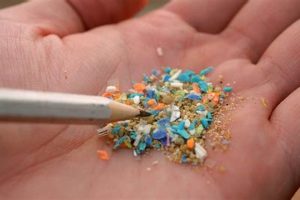 Fairlife Microplastics Study: What You Need to Know Now | Study Travel Abroad | Explore Educational Trips & Global Learning Opportunities