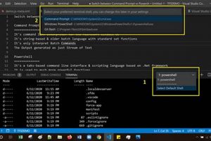 Stop Scripts: Safer VS Code Development Tips | Study Travel Abroad | Explore Educational Trips & Global Learning Opportunities