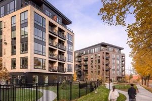 Find Affordable Studio Apartments for Rent in Minneapolis Today! | Study Travel Abroad | Explore Educational Trips & Global Learning Opportunities