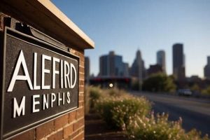 Alford Studios Memphis: Your Memphis Photo &amp; Video | Study Travel Abroad | Explore Educational Trips & Global Learning Opportunities