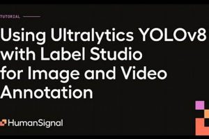 Unlock Data Labeling: Label Studio + YOLOv8 Backend Power! Study Travel Abroad | Explore Educational Trips & Global Learning Opportunities Unlock Data Labeling: Label Studio + YOLOv8 Backend Power! | Study Travel Abroad | Explore Educational Trips & Global Learning Opportunities
