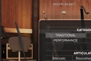 Achieve Perfection: A Warm Studio Setup for Success | Study Travel Abroad | Explore Educational Trips & Global Learning Opportunities