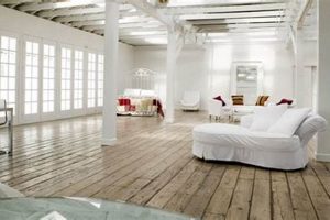 Discover Little River Studios: Your Production Hub Study Travel Abroad | Explore Educational Trips & Global Learning Opportunities Discover Little River Studios: Your Production Hub | Study Travel Abroad | Explore Educational Trips & Global Learning Opportunities