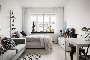 Best Apartment Studio Design Ideas: Space Savers | Study Travel Abroad | Explore Educational Trips & Global Learning Opportunities