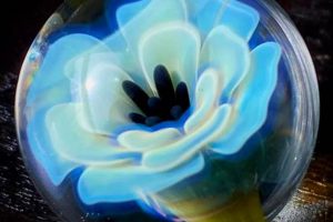 Best BC Studio: Design & Production Experts | Study Travel Abroad | Explore Educational Trips & Global Learning Opportunities