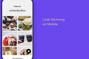 Embed: Wix Studio Instagram Feed Secrets (2024) | Study Travel Abroad | Explore Educational Trips & Global Learning Opportunities