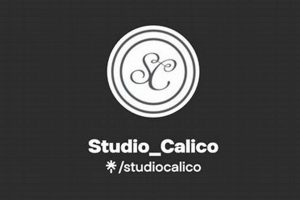 Shop Studio Calico: Crafts & Memories Made | Study Travel Abroad | Explore Educational Trips & Global Learning Opportunities