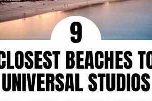 Best Airport: Universal Studios Hollywood? Guide & Tips Study Travel Abroad | Explore Educational Trips & Global Learning Opportunities Best Airport: Universal Studios Hollywood? Guide & Tips | Study Travel Abroad | Explore Educational Trips & Global Learning Opportunities