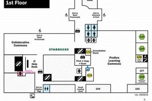Fondren Study Rooms: Book Your Ideal Study Space | Study Travel Abroad | Explore Educational Trips & Global Learning Opportunities