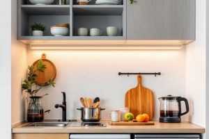 Tiny Kitchen, Big Style: Small Studio Apartment Kitchen Ideas Today | Study Travel Abroad | Explore Educational Trips & Global Learning Opportunities