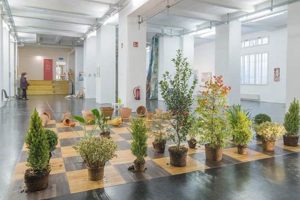 Discover Soho Studios: Flexible Spaces to Rent [Year] | Study Travel Abroad | Explore Educational Trips & Global Learning Opportunities