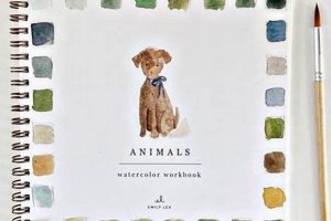 Get Emily Lex Studio Discount Code Now! [Year] | Study Travel Abroad | Explore Educational Trips & Global Learning Opportunities