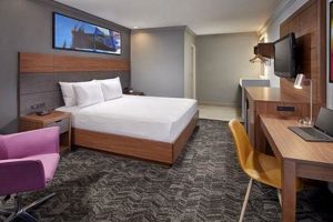 Your Ideal Studio Inn & Suites for Extended Stays | Study Travel Abroad | Explore Educational Trips & Global Learning Opportunities