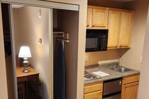 Find Your Perfect Studio Apartments in Syracuse, NY Today! | Study Travel Abroad | Explore Educational Trips & Global Learning Opportunities