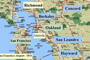 Find Studio Spaces SF Bay Area: A Curated List [Year] | Study Travel Abroad | Explore Educational Trips & Global Learning Opportunities