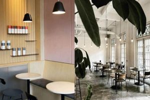 Boost Your Study: Best Study Cafes Near You | Study Travel Abroad | Explore Educational Trips & Global Learning Opportunities