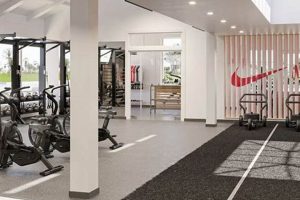 Elevate Your Game: At Nike Training Studio Austin, TX Study Travel Abroad | Explore Educational Trips & Global Learning Opportunities Elevate Your Game: At Nike Training Studio Austin, TX | Study Travel Abroad | Explore Educational Trips & Global Learning Opportunities