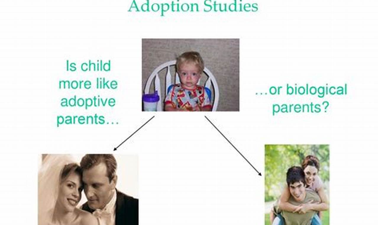 Why CADARE Adoption Matters: A Criminal Study Deep Dive | Study Travel Abroad | Explore Educational Trips & Global Learning Opportunities
