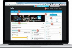 Design by studio.balfour: Your Creative Vision | Study Travel Abroad | Explore Educational Trips & Global Learning Opportunities