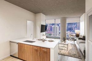 Find Affordable Studio Apartments in South Carolina (SC) Today! | Study Travel Abroad | Explore Educational Trips & Global Learning Opportunities