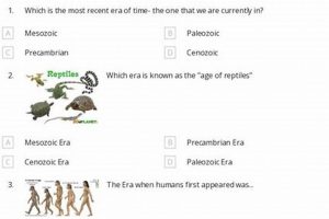 Your Guide: 9th Grade Social Studies Success Tips | Study Travel Abroad | Explore Educational Trips & Global Learning Opportunities