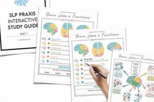 Ace the SLP Praxis: Your Complete Study Guide 2024 | Study Travel Abroad | Explore Educational Trips & Global Learning Opportunities