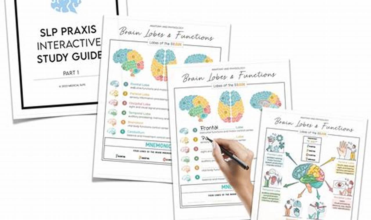 Ace the SLP Praxis: Your Complete Study Guide 2024 | Study Travel Abroad | Explore Educational Trips & Global Learning Opportunities