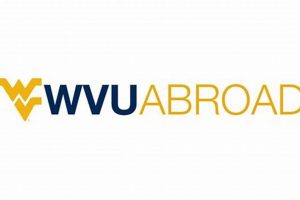 Your WVU Study Abroad Adventure Awaits! | Study Travel Abroad | Explore Educational Trips & Global Learning Opportunities