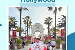 Unlock Fun: Universal Studios Payment Plan Guide 2024 Study Travel Abroad | Explore Educational Trips & Global Learning Opportunities Unlock Fun: Universal Studios Payment Plan Guide 2024 | Study Travel Abroad | Explore Educational Trips & Global Learning Opportunities