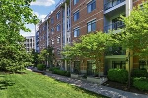 Find Studio Apartments in Crystal City, VA - Deals Near You! | Study Travel Abroad | Explore Educational Trips & Global Learning Opportunities