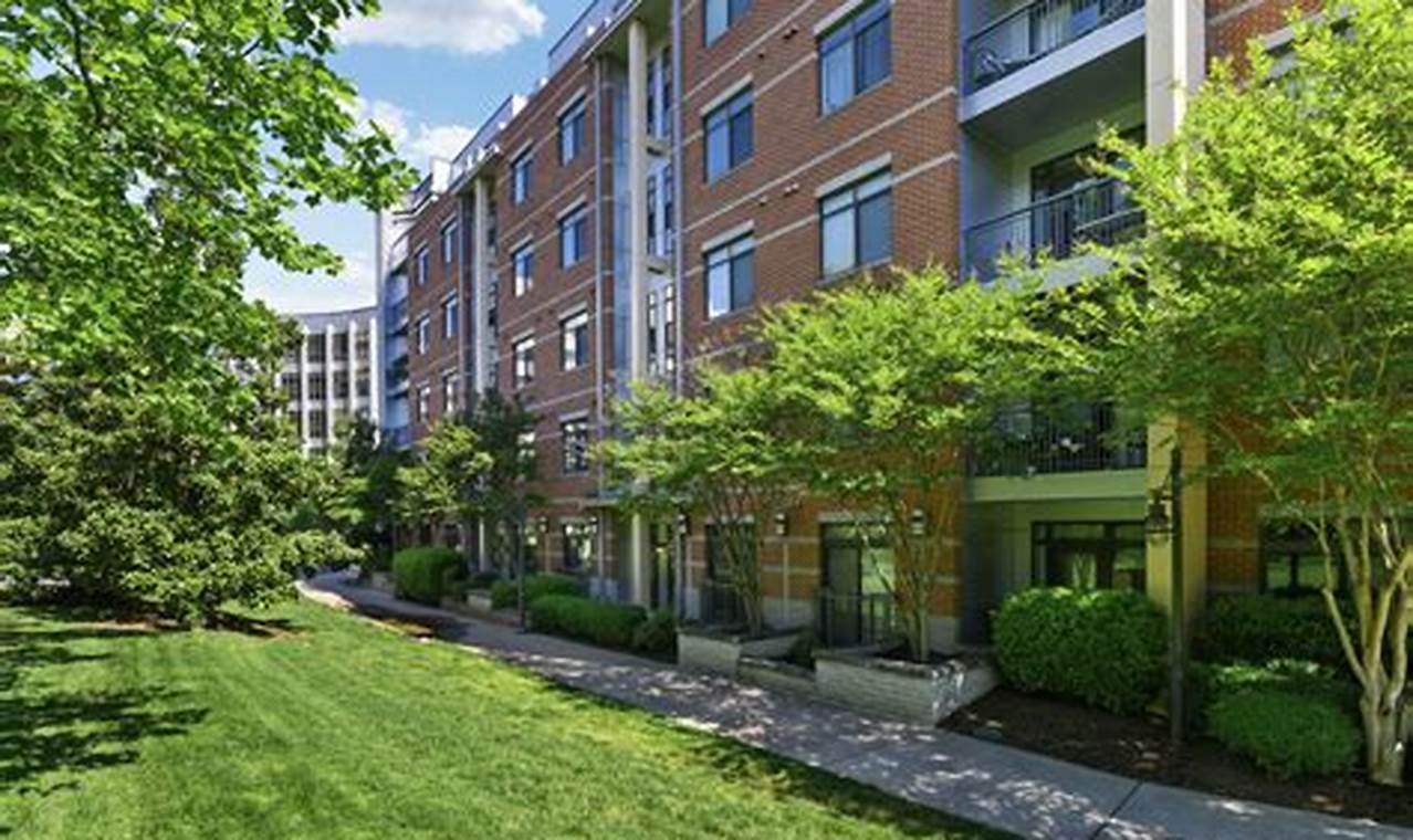 Find Studio Apartments in Crystal City, VA - Deals Near You! Study Travel Abroad | Explore Educational Trips & Global Learning Opportunities Find Studio Apartments in Crystal City, VA - Deals Near You! | Study Travel Abroad | Explore Educational Trips & Global Learning Opportunities