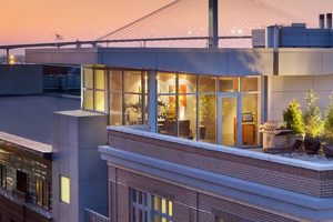 Discover: The Studio Homes at Ellis Square - Your Urban Oasis | Study Travel Abroad | Explore Educational Trips & Global Learning Opportunities