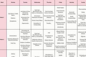 NAPLEX Prep: A Long Study Schedule for NAPLEX Success + Tips | Study Travel Abroad | Explore Educational Trips & Global Learning Opportunities